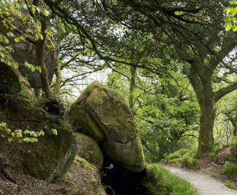 The Fowey Consols Leat